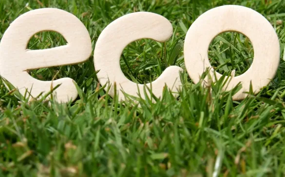 eco-schriftzug-auf-grünem-rasen
